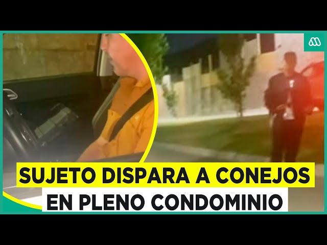 ⁣"¿Cómo se te ocurre?": Vecinos encaran a sujeto que disparó a conejos en pleno condominio