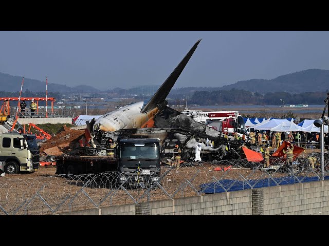 ⁣179 die in S. Korea jet crash with investigation into cause under way