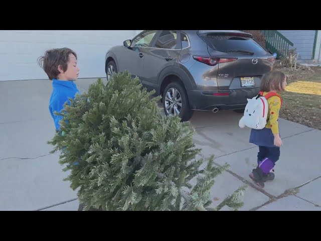 ⁣Parker cub scout pack offers Christmas tree pickup