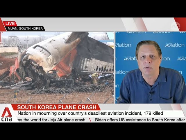 ⁣Bird strikes not uncommon, but mystery surrounds missing landing gear in Jeju Air crash: Expert