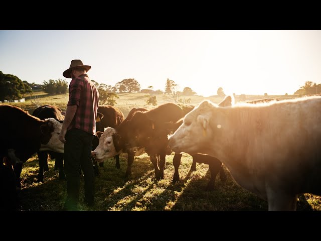 ⁣Aussie Hay Runners helping farmers at their darkest time