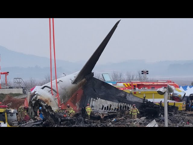 ⁣‘Multiple failures due to a bird strike’: Theory emerges over deadly plane crash in South Korea