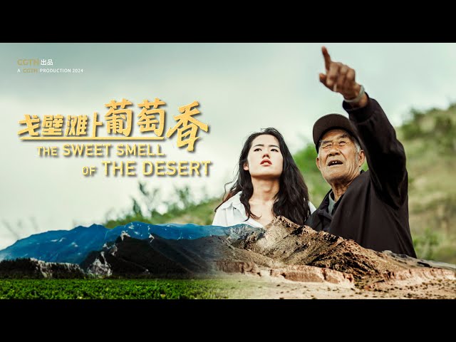 ⁣Trailer: The sweet smell of the desert