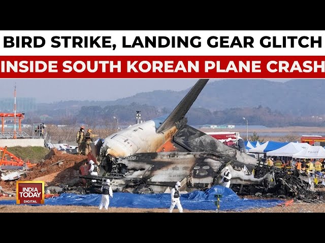 ⁣South Korea Plane Crash | Jeju Air Flight With 181 People Crashes At Muan Airport | India Today