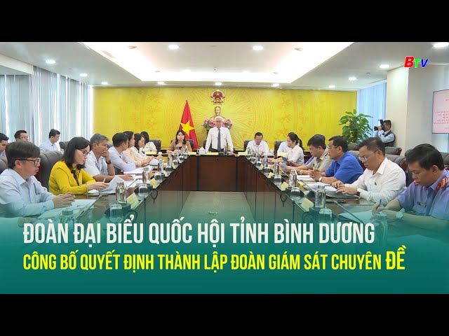 ⁣Đoàn Đại biểu quốc hội tỉnh Bình Dương công bố quyết định thành lập đoàn giám sát chuyên đề