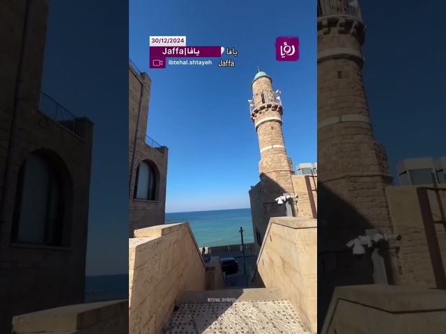 ⁣جمال شوارع مدينة يافا