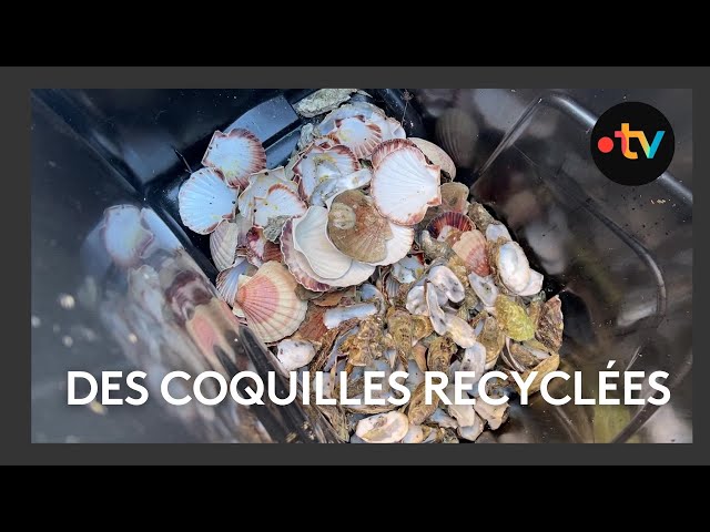 ⁣Des bennes pour recycler les coquilles