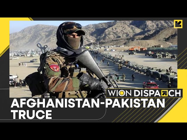 ⁣Report: Pakistan, Afghanistan Agree To Truce After Deadly Border Skirmish | WION Dispatch