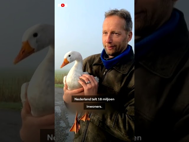 ⁣Het jaaroverzicht 2024 in (iets meer dan) 2 minuten