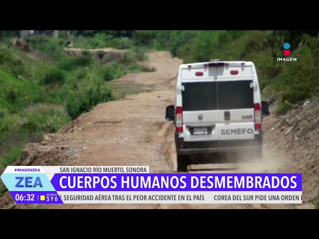 ⁣Hallan restos humanos desmembrados en San Ignacio Río Muerto, Sonora