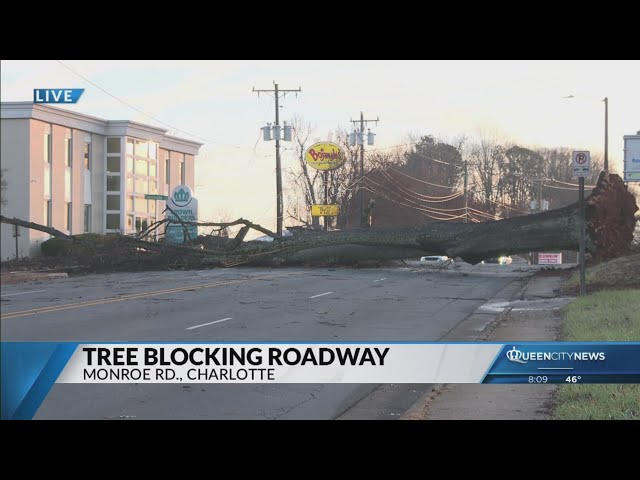 ⁣Massive tree blocking Monroe Road in SE Charlotte