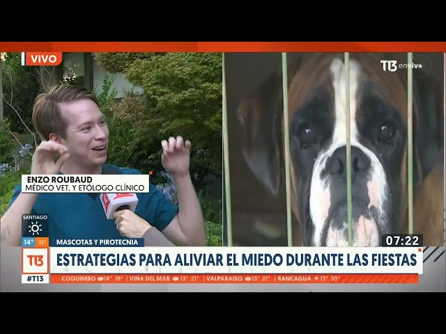 ⁣¡A no lamentarse después!  Consejos para cuidar a nuestras mascotas este año nuevo