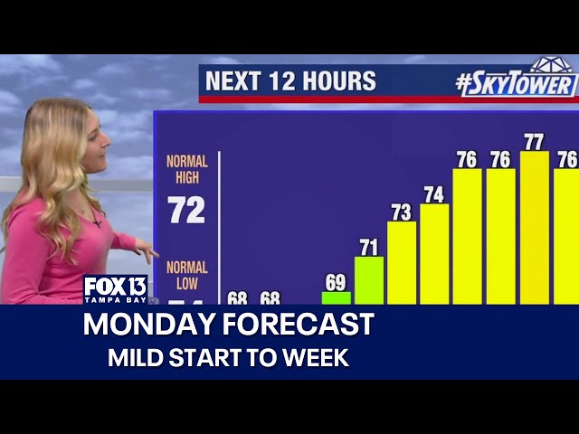 ⁣Tampa weather | Monday forecast