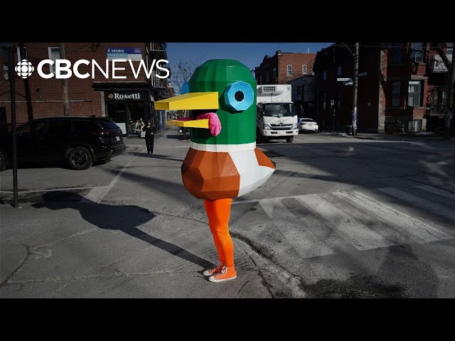 ⁣Why this 6-foot-tall duck is wandering Montreal's streets