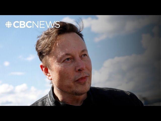 ⁣Germany accuses Elon Musk of interfering in their upcoming election