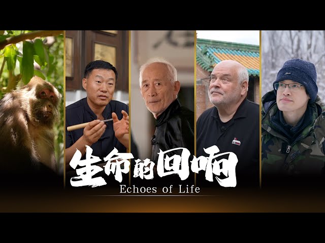 ⁣CGTN Documentary: Echoes of Life