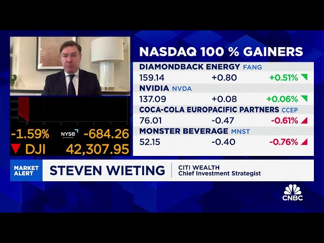 ⁣Citi Wealth's Steve Wieting: 2025 will be decent but time to diversify