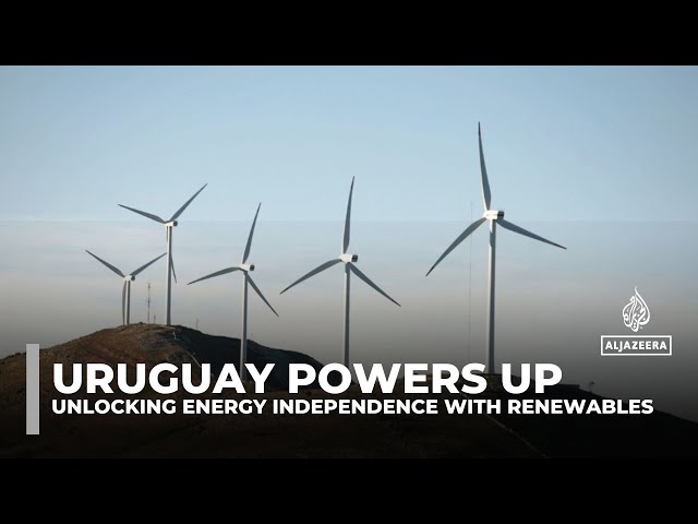 ⁣Uruguay’s Sierra de los Caracoles wind farm drives 98% renewable energy, boosting self-sufficiency