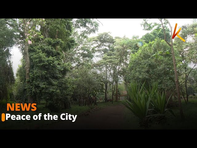 ⁣Murumbi Peace Memorial Park offers Nairobi residents a much needed security