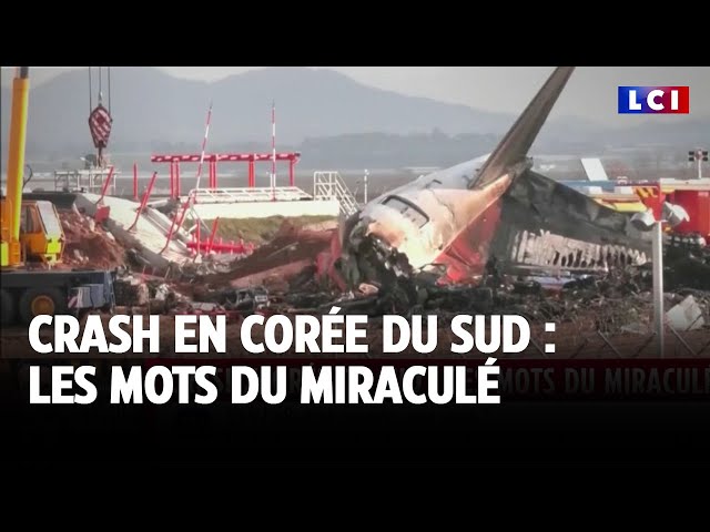 ⁣Crash en Corée du Sud : les mots du miraculé｜LCI