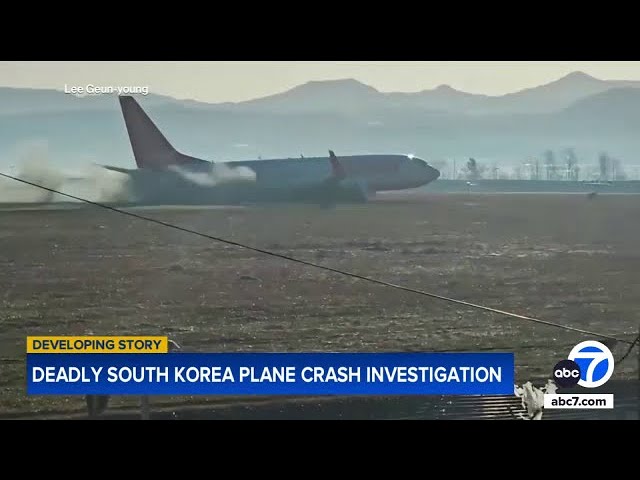 ⁣Jeju Air plane crash: Black boxes, cockpit voice recorder retrieved