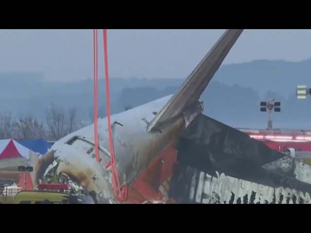 ⁣Investigation launched into South Korean plane crash that killed over 170