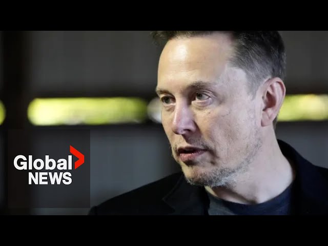 ⁣Elon Musk causes uproar after backing Germany’s far-right AfD party