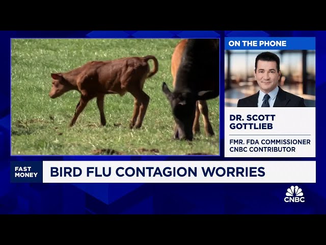 ⁣Dr. Scott Gottlieb talks U.S. response to bird flu cases and what it could be doing better