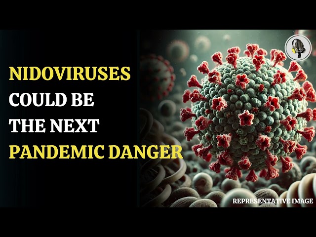 ⁣Genetically Altered Nidoviruses A New Pandemic Threat | WION Podcast