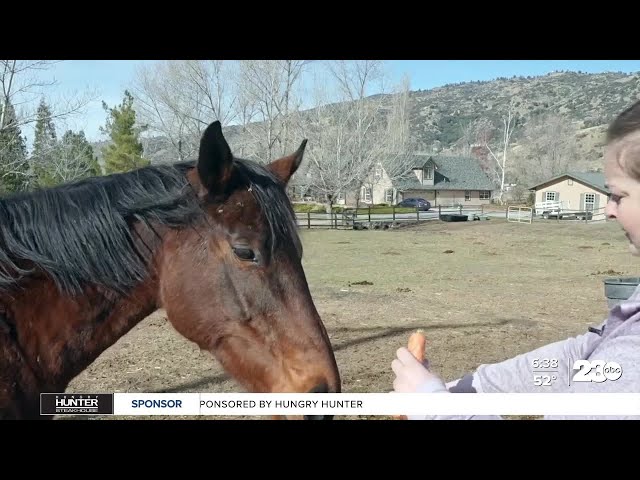 ⁣Tehachapi Valley Horse Rescue continues to help those in need