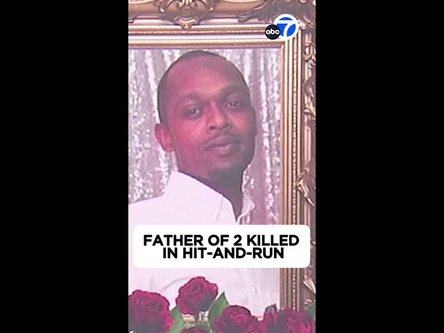 ⁣Father of 2 killed in Canoga Park hit-and-run; suspect at large