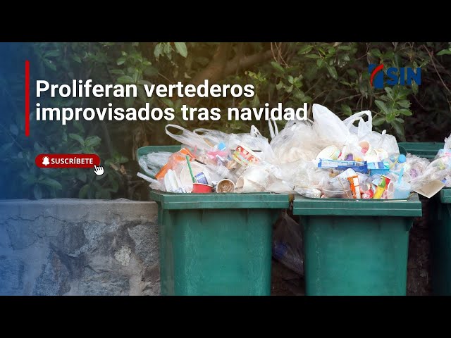 ⁣Exportaciones de zonas francas crecen un 7.1 FI% en 2024/ Noticias SIN #EmisiónEstelar:30/12/2024