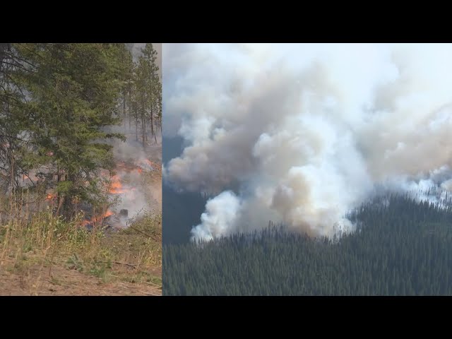 ⁣2024 B.C. wildfire review: More than 1 million hectares burned