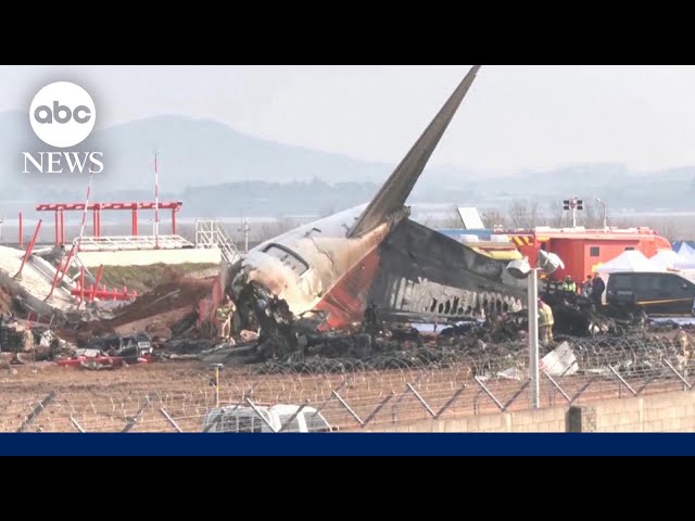 ⁣Aviation expert on possible causes of South Korean jet crash