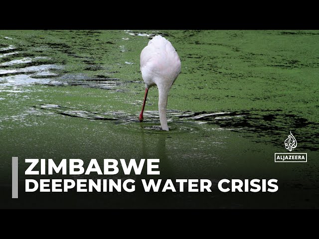 ⁣Pollution in Lake Chivero worsens Zimbabwe’s water crisis