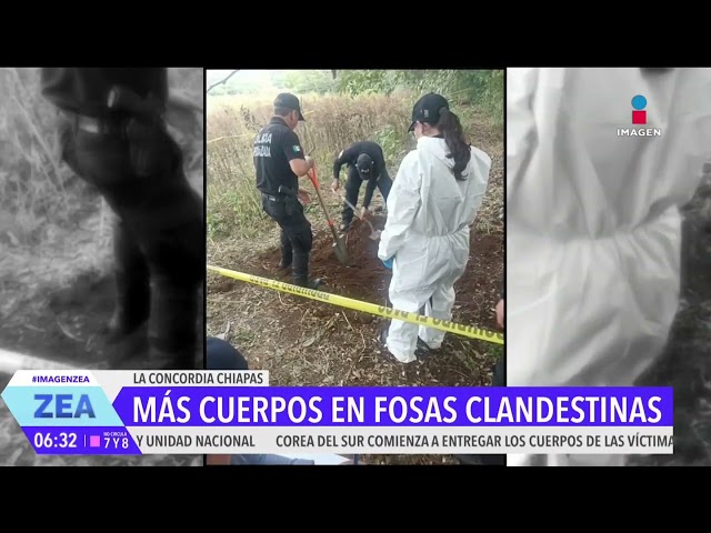 ⁣Hallan 14 cuerpos más en fosas clandestinas en La Concordia, Chiapas