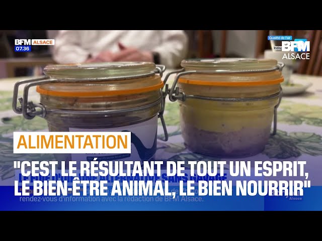 ⁣Alsace: le foie d'oie, une alternative sans gavage de l'animal