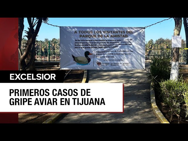 ⁣Detectan casos de gripe aviar en parques de Tijuana