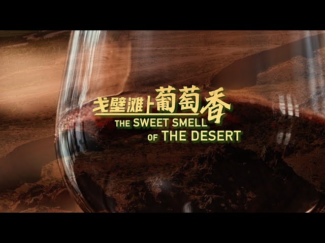 ⁣The Sweet Smell of the Desert