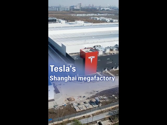 ⁣Tesla's Shanghai megafactory kicks off trial production