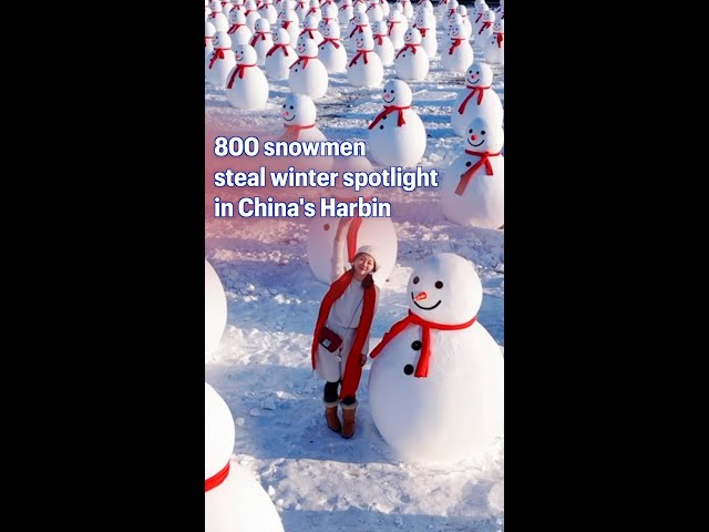 ⁣800 snowmen steal winter spotlight in China's Harbin