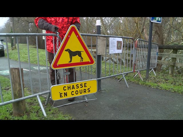 ⁣Chasse : une opération pour réguler les sangliers à Marsac-sur-l'Isle