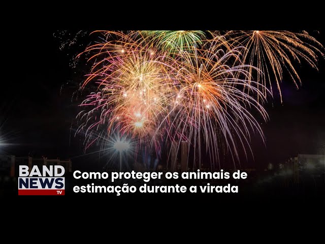 ⁣Entenda por que fogos de artifício assustam animais l BandNews TV