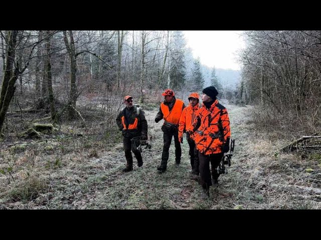 ⁣Chasse à l’arc : précision et tradition au cœur de la forêt de Chaumont