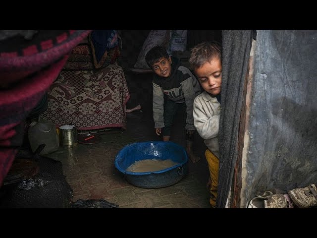 ⁣Decenas de pacientes y heridos son evacuados de Gaza para recibir tratamiento en los EAU