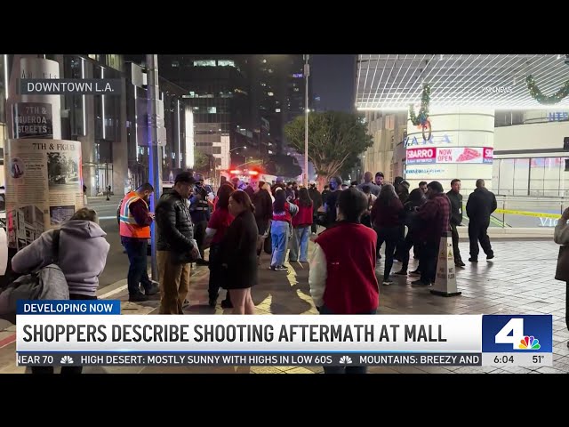 ⁣2 security guards shot at downtown LA shopping mall