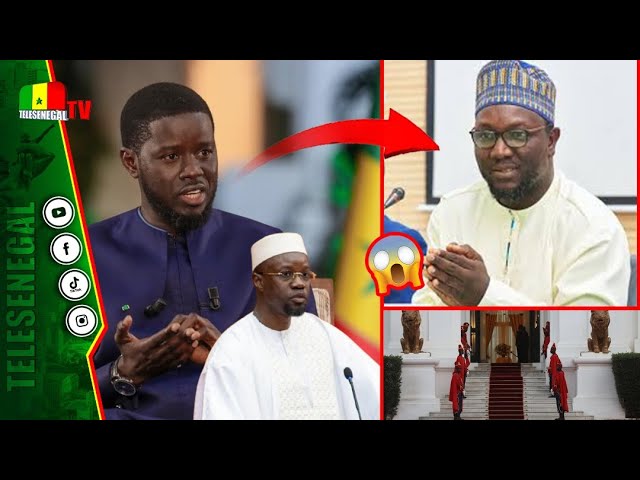 ⁣Limogé du Palais : Cheikh Oumar Diagne Dézingué sur la Toile !