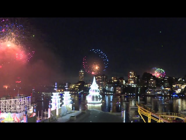 ⁣Fireworks light up sky in Sydney to welcome New Year