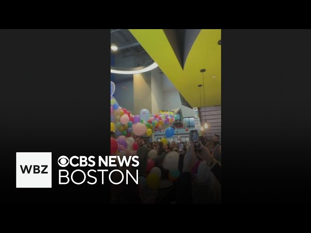 ⁣Video shows LEGO display collapse on families after balloon drop mishap in Massachusetts