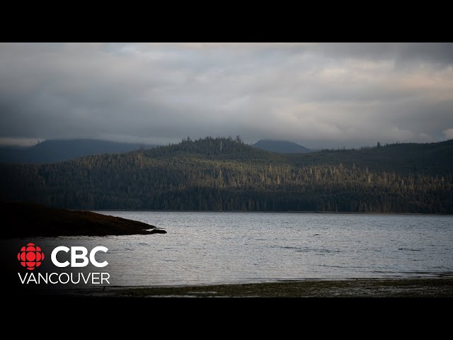 ⁣Haida Gwaii resident reflects on nation's recent reclamation of its lands